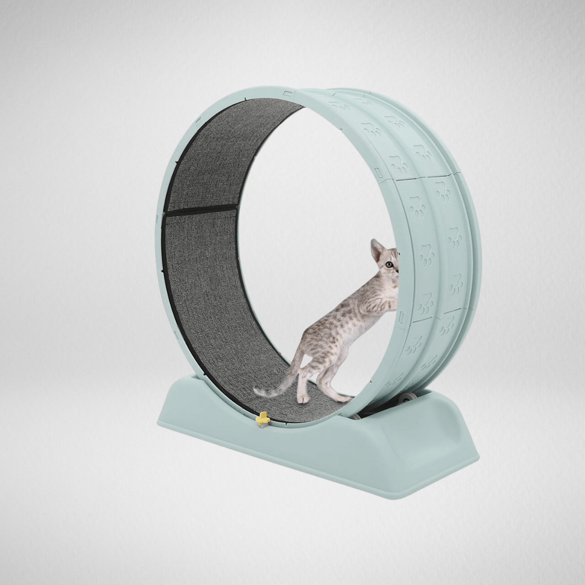 TechnuPet Smart Cat Toys Silent Cat Running Wheel Treadmill