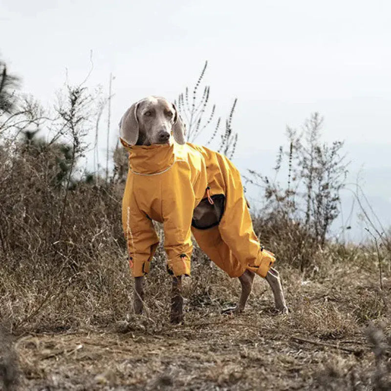 TechnuPet Pet Jackets Waterproof Reflective 4-Leg Dog Jacket