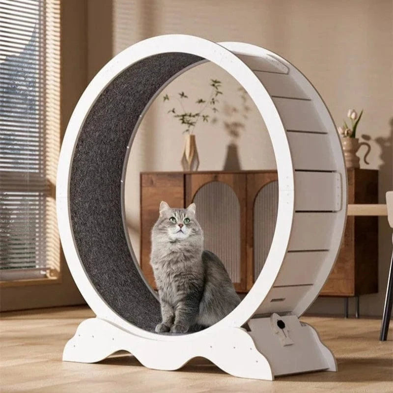 TechnuPet Smart Cat Toys XL Wooden Cat Treadmill Exercise Roller