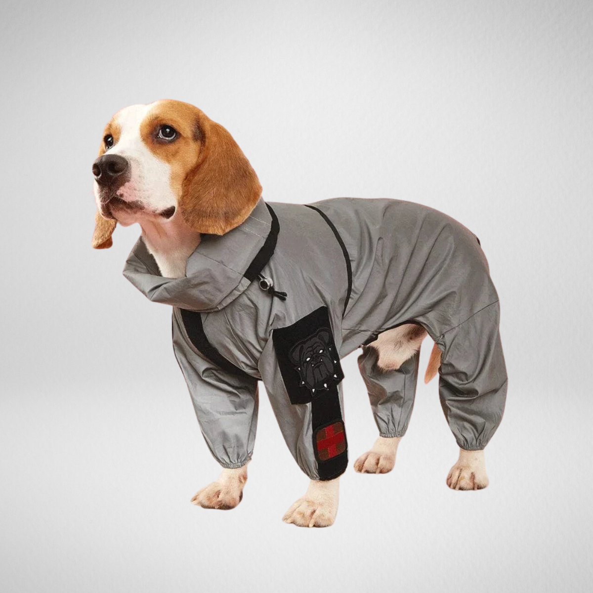 Large Dog Raincoat