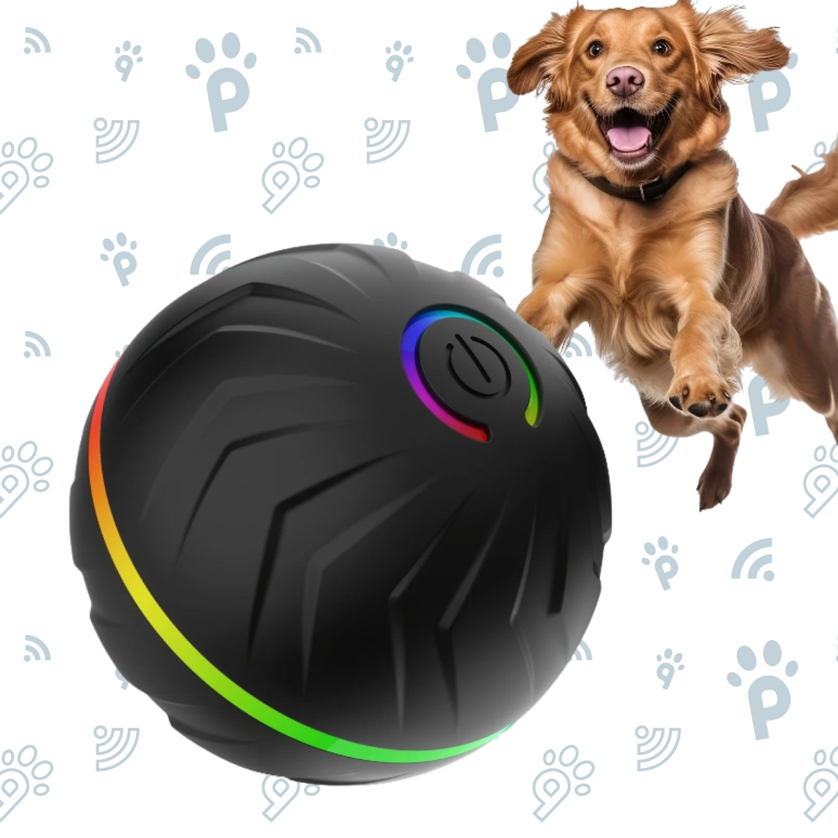 Dog Bouncing Ball