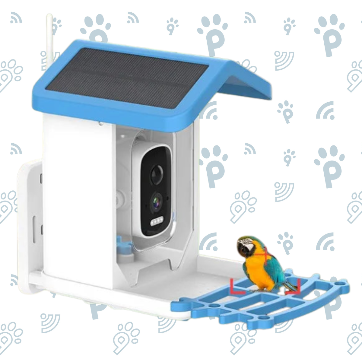 Outdoor Bird Feeder with camera