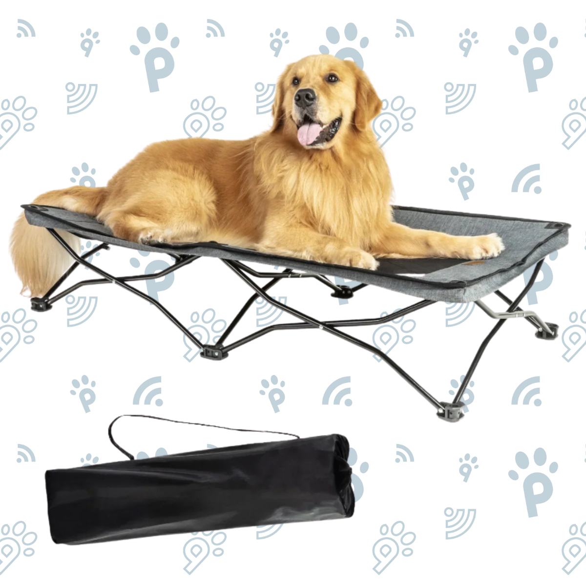 Foldable Outdoor Dog Bed