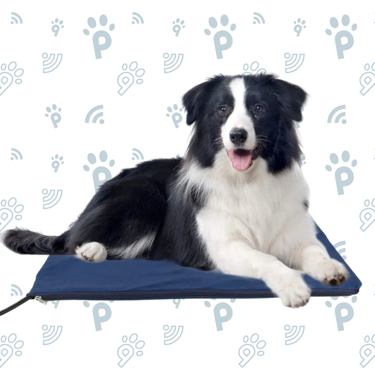 Dog Electric Heating Pad