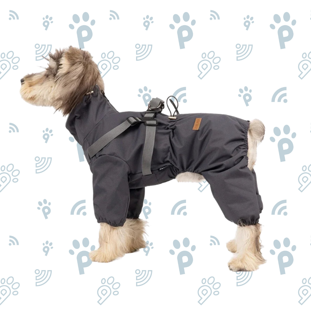 Dog Raincoat with Harness