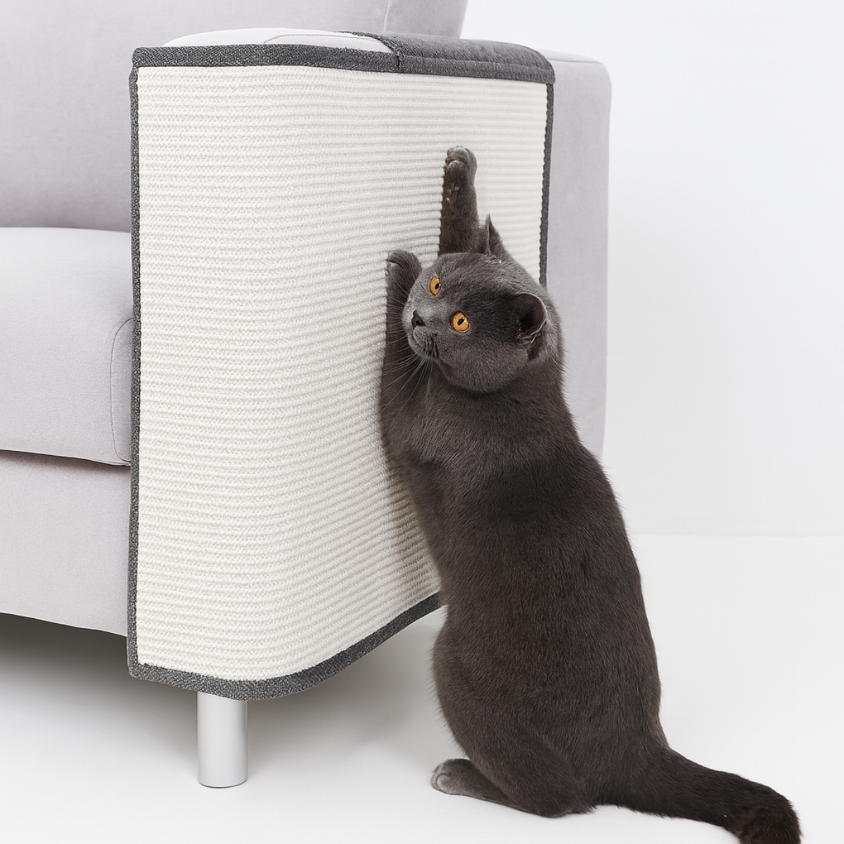Cat Scratch Pad