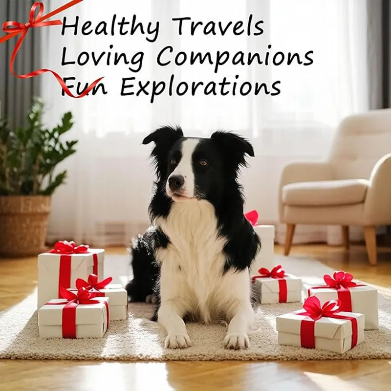 Foldable Elevated Double Pet Bowl