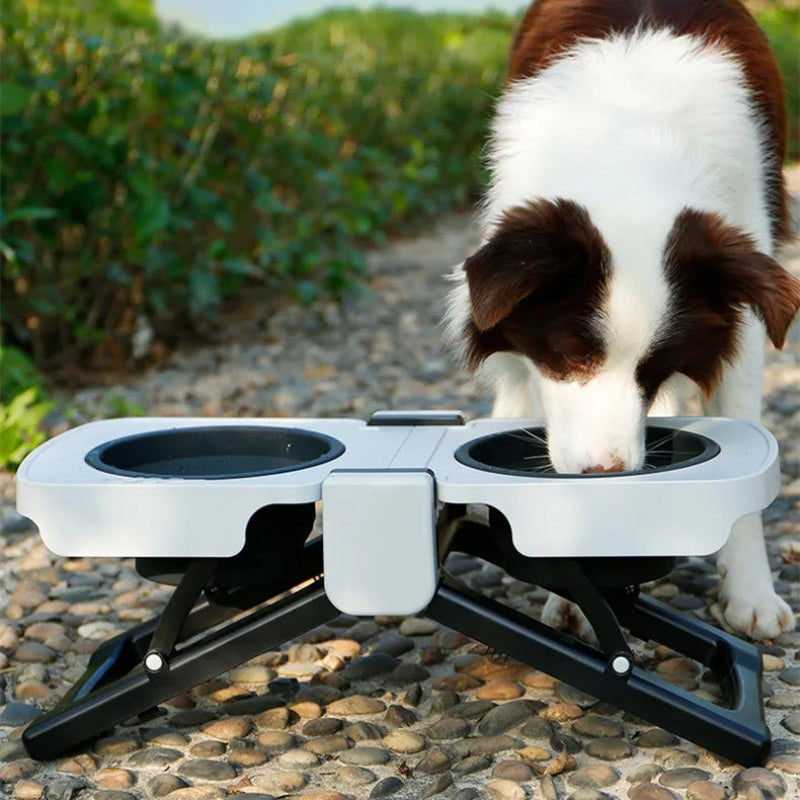 Foldable Elevated Double Pet Bowl