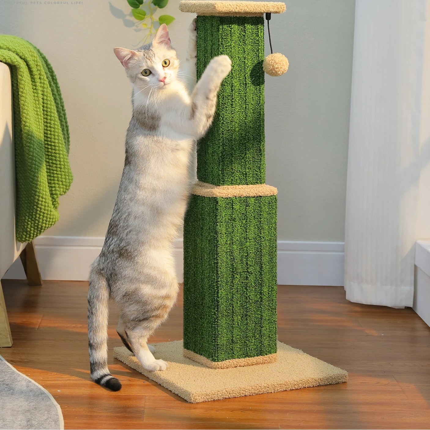 Large Cat Scratching Post