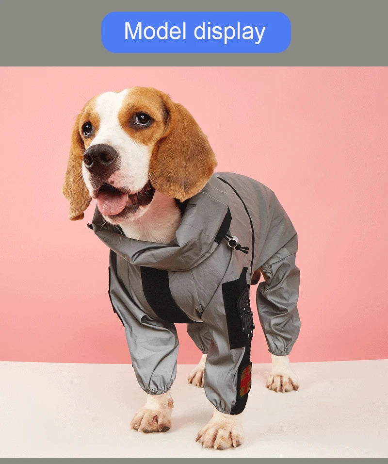 Large Dog Raincoat