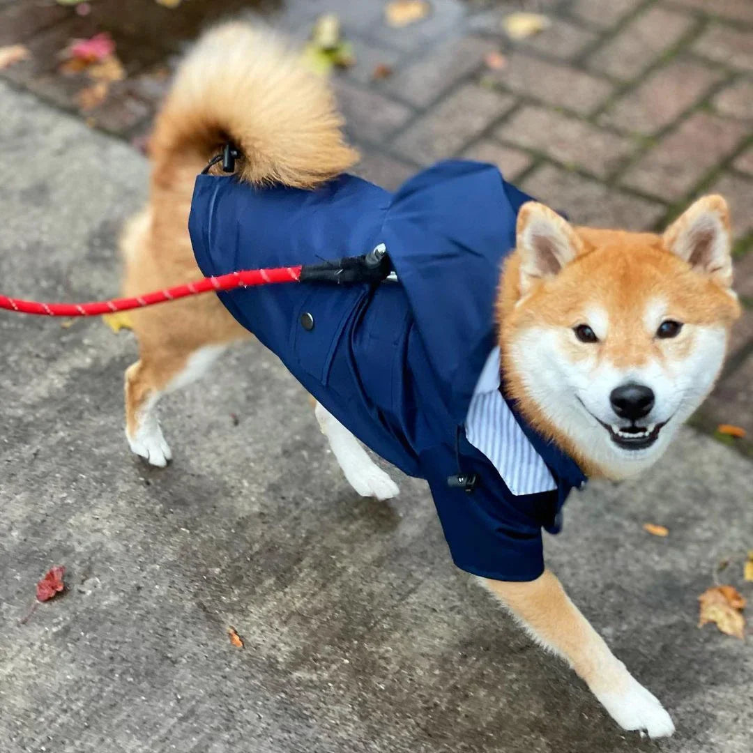Dog Raincoat Windproof