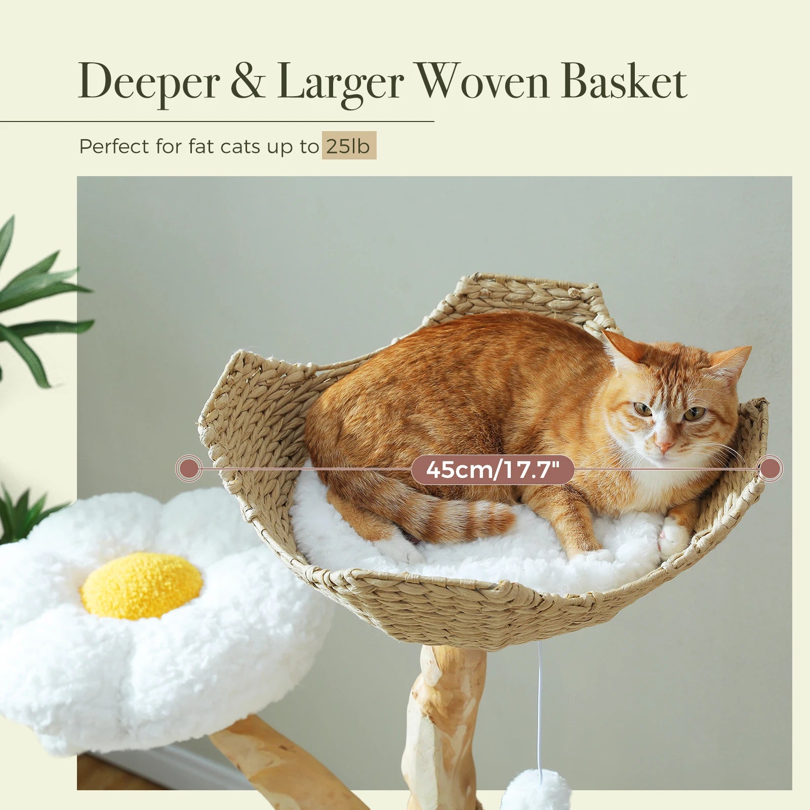 Modern Cat Tree Tower