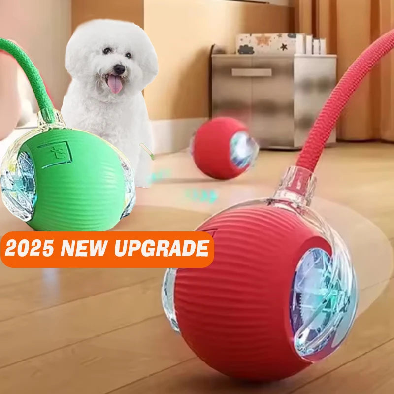Smart Jumping Ball-Dog Toys