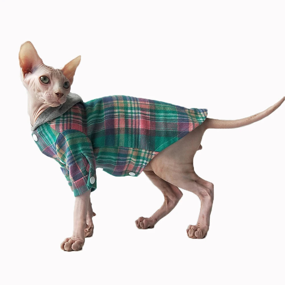 Pull pour chat Sphynx