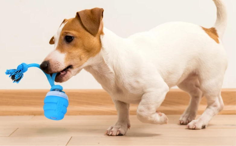 Interactive Dog Toy Ball with Rope