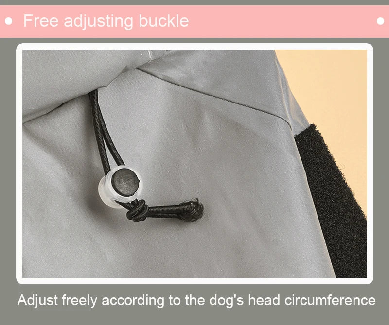 Large Dog Raincoat