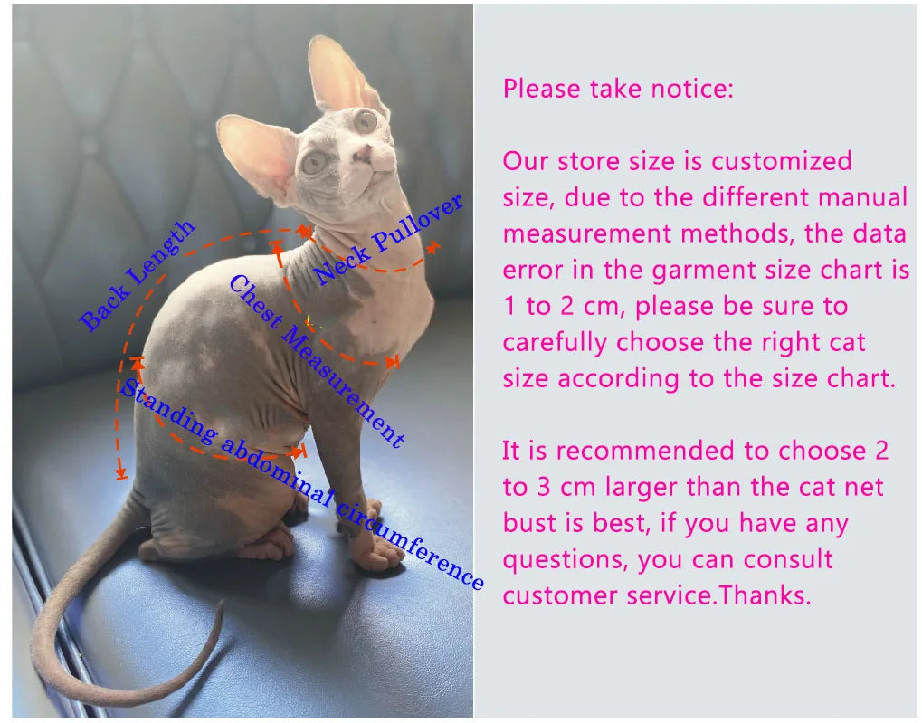 Pull pour chat Sphynx