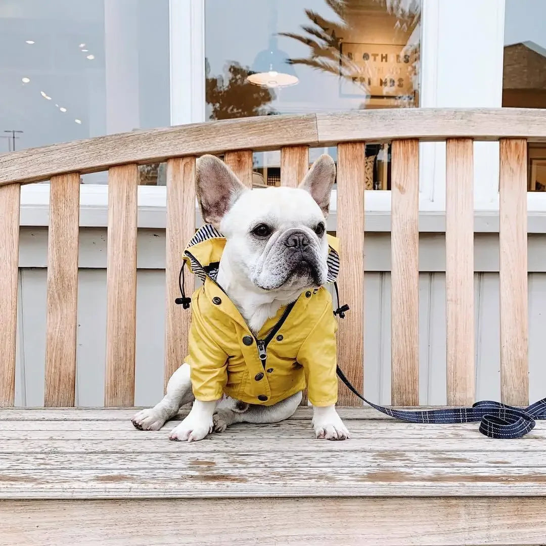Dog Raincoat Windproof