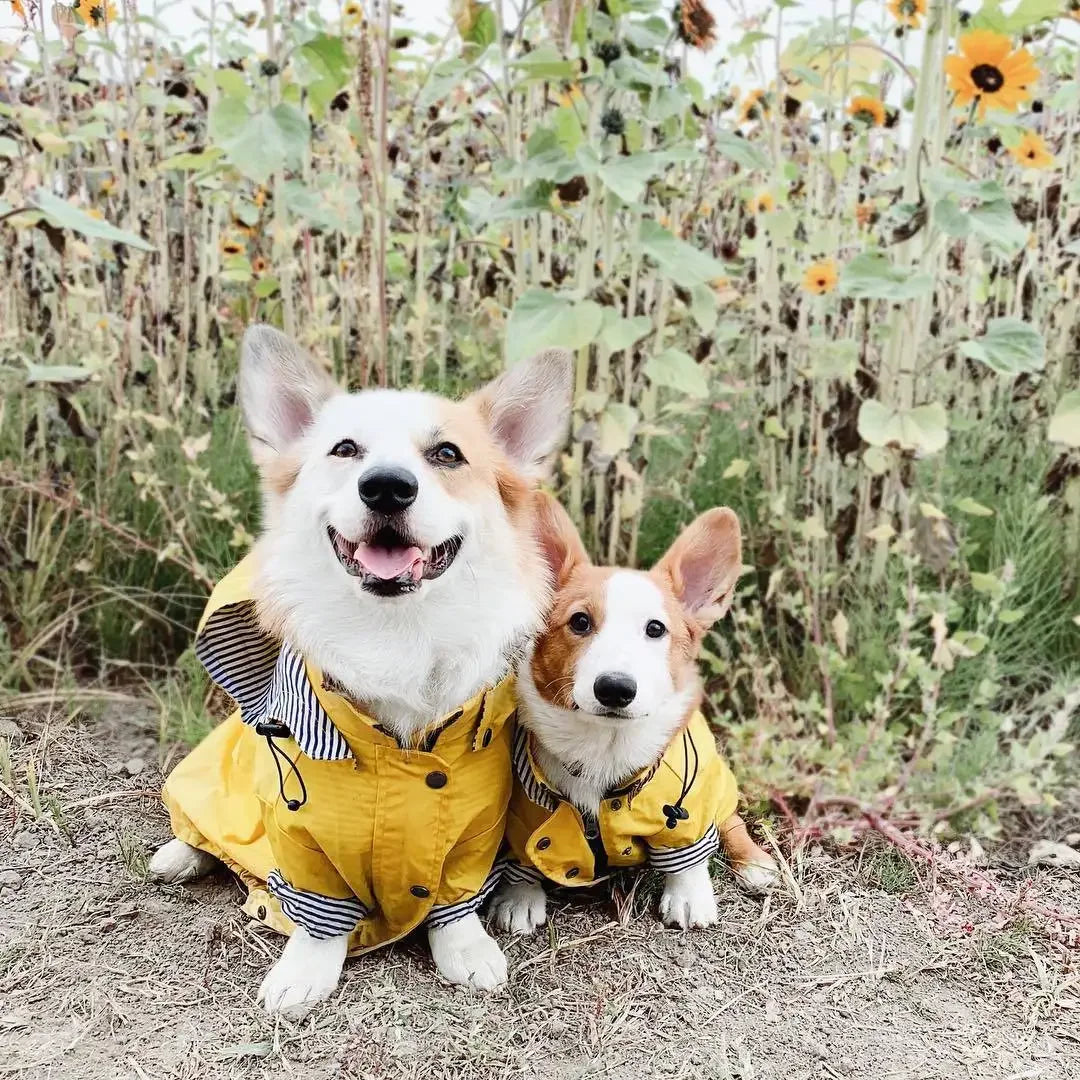 Dog Raincoat Windproof
