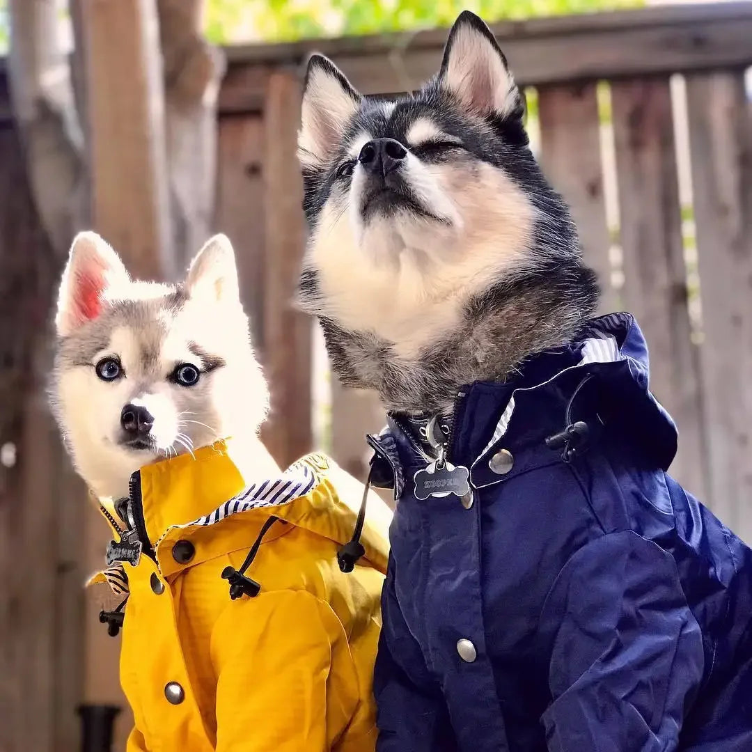Dog Raincoat Windproof