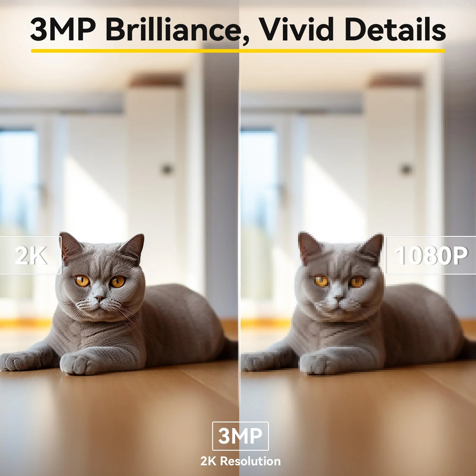 360 Degree Dog Camera With App