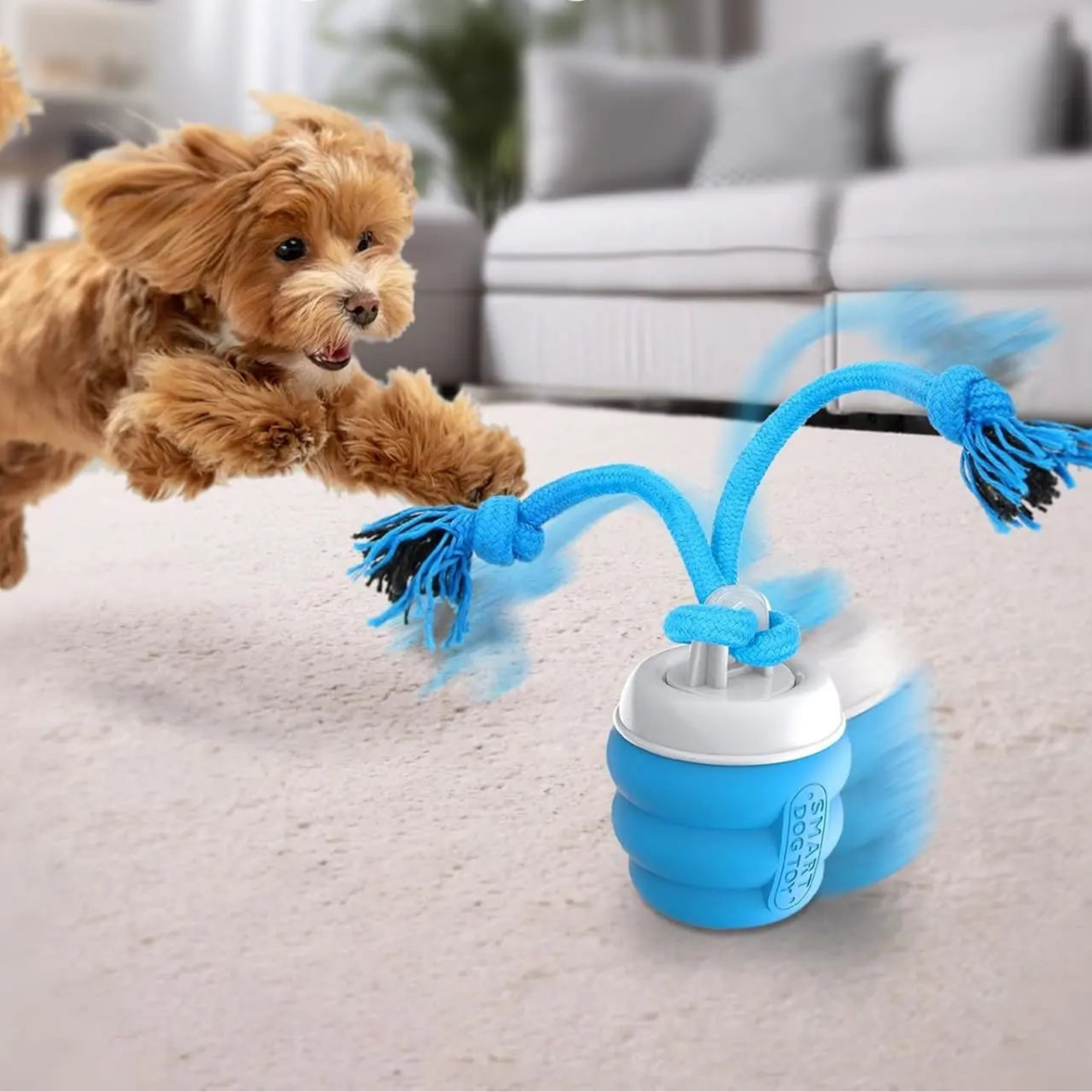 Interactive Dog Toy Ball with Rope