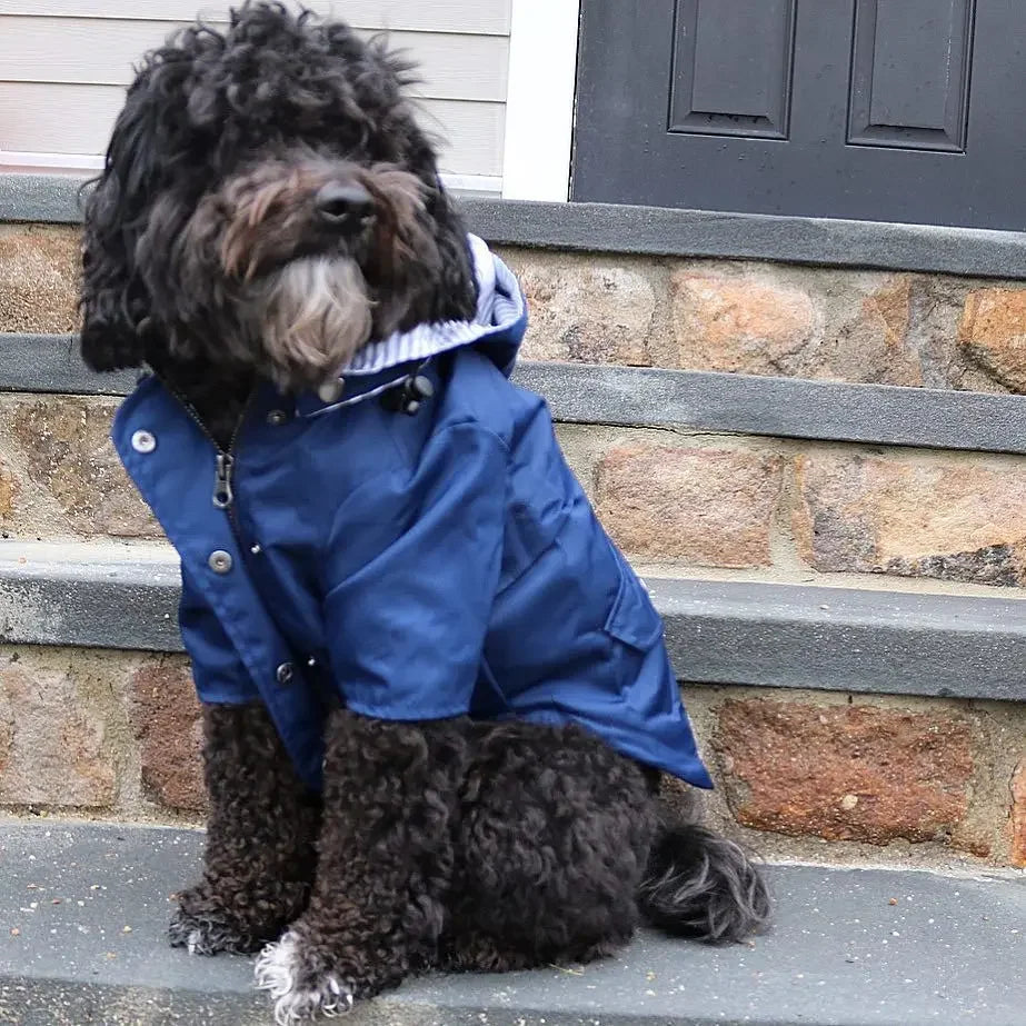 Dog Raincoat Windproof