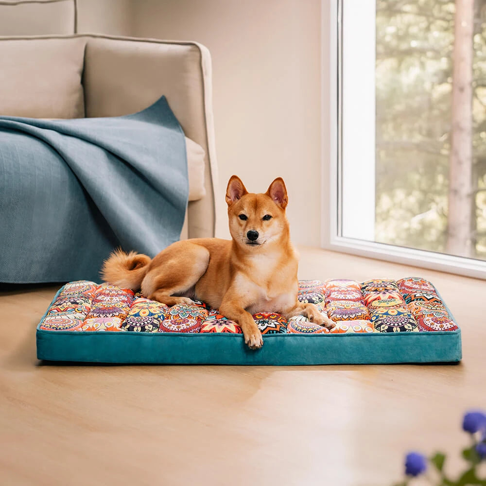 Orthopedic Dog Bed