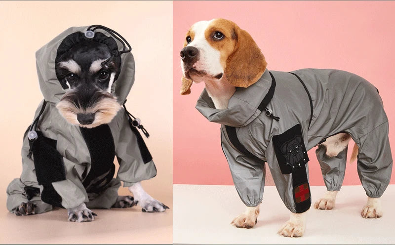 Large Dog Raincoat