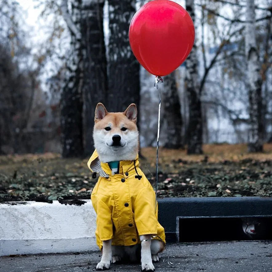 Dog Raincoat Windproof