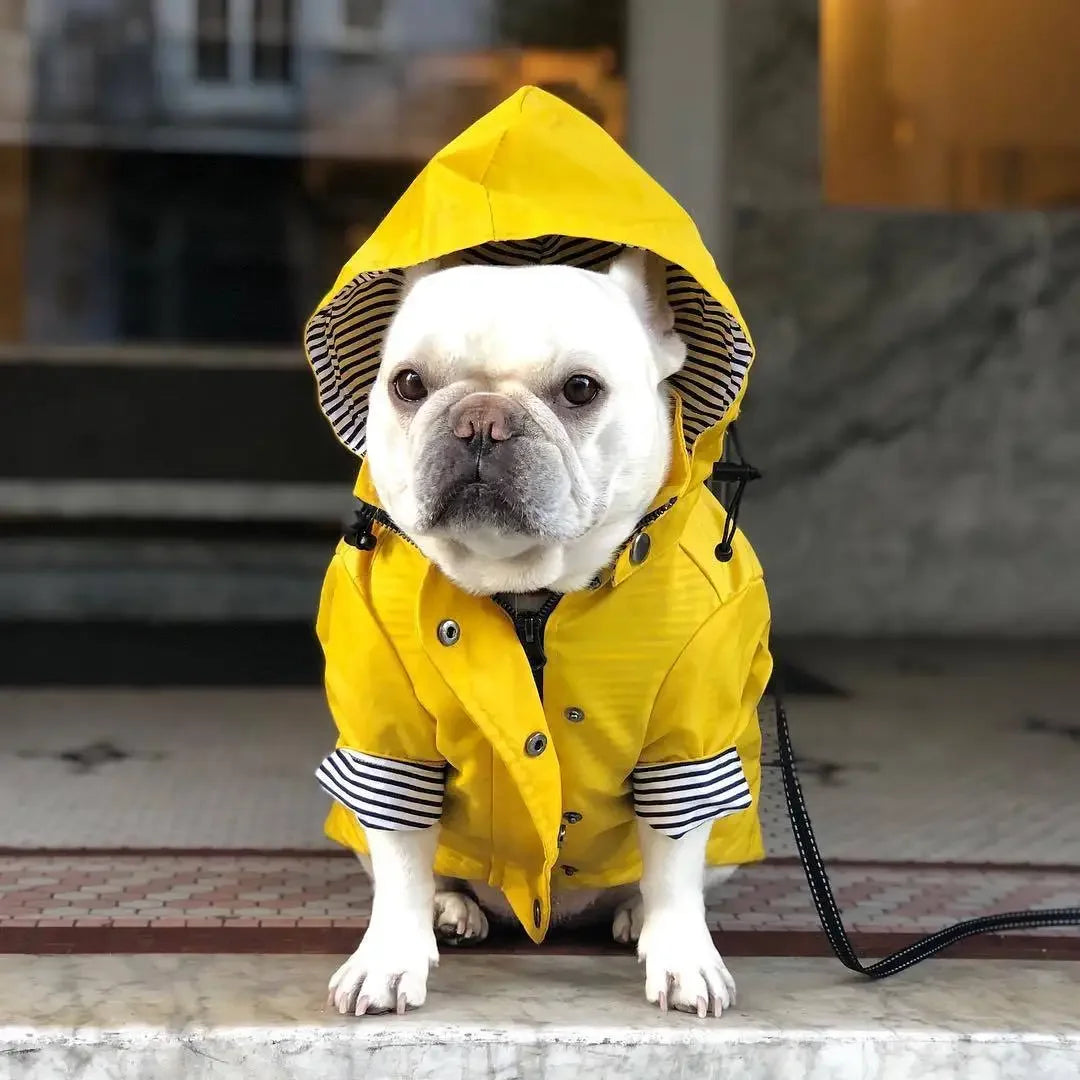Dog Raincoat Windproof