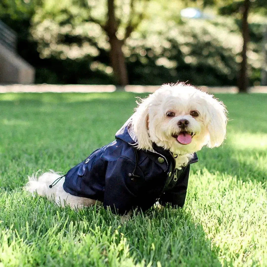 Dog Raincoat Windproof