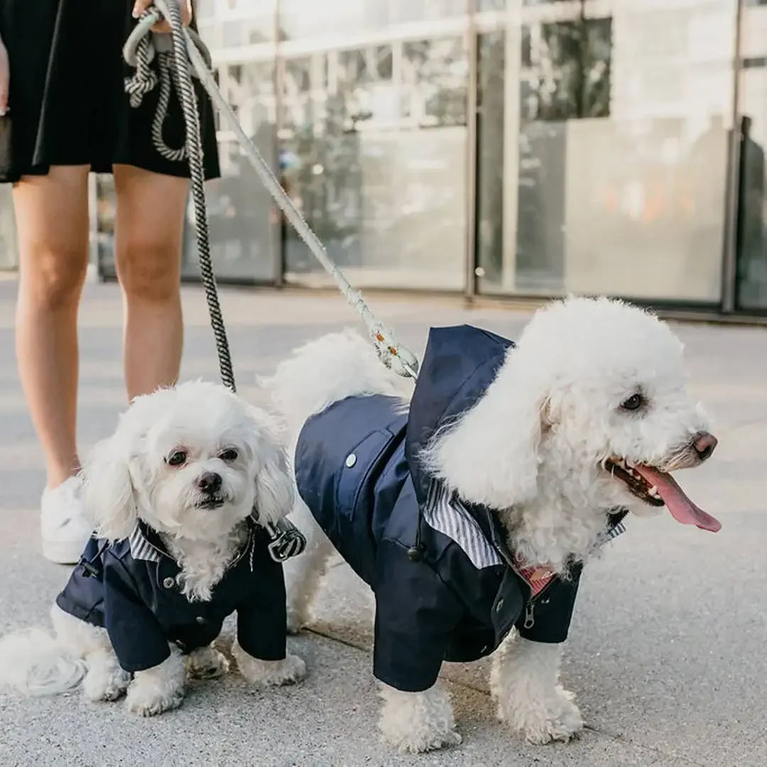 Dog Raincoat Windproof