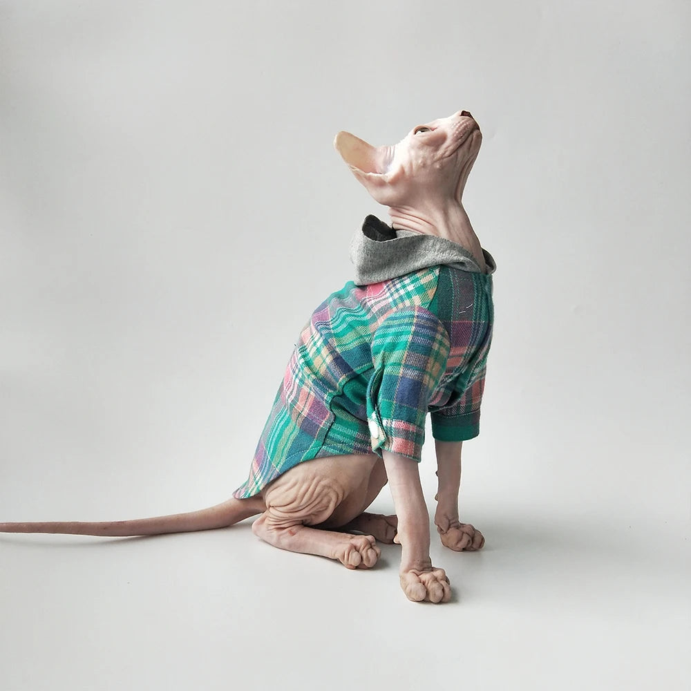 Pull pour chat Sphynx