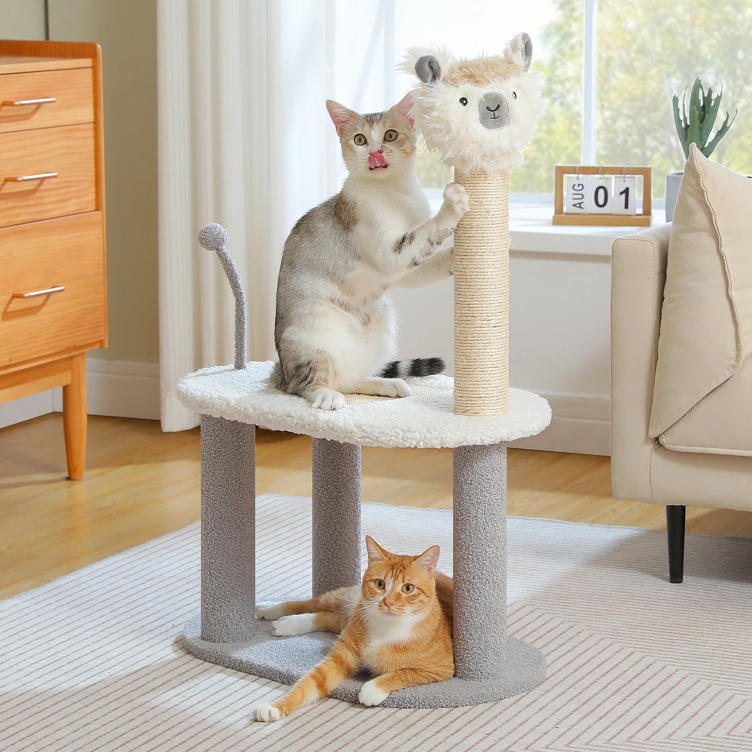 Tall Cat Scratching Post with Spring Ball