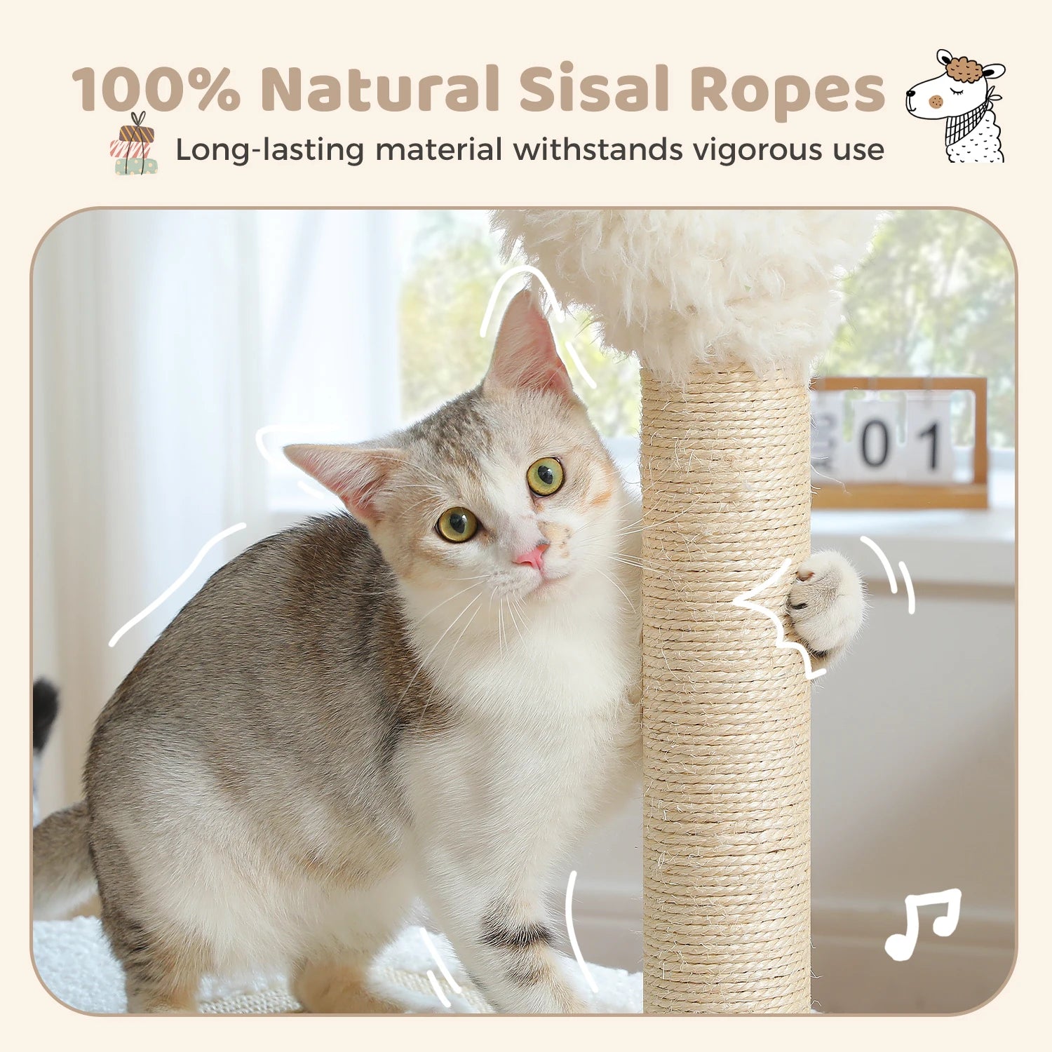 Tall Cat Scratching Post with Spring Ball