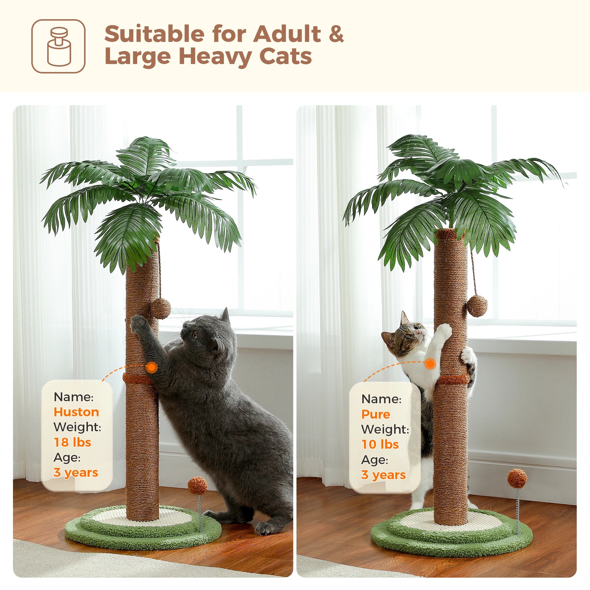 Tall Cat Scratching Post with Spring Ball