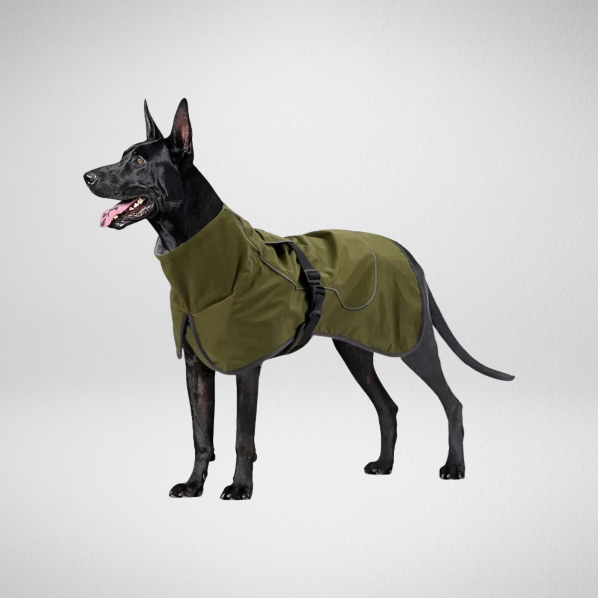 Waterproof Dog Raincoat with Soft Fleece Lining