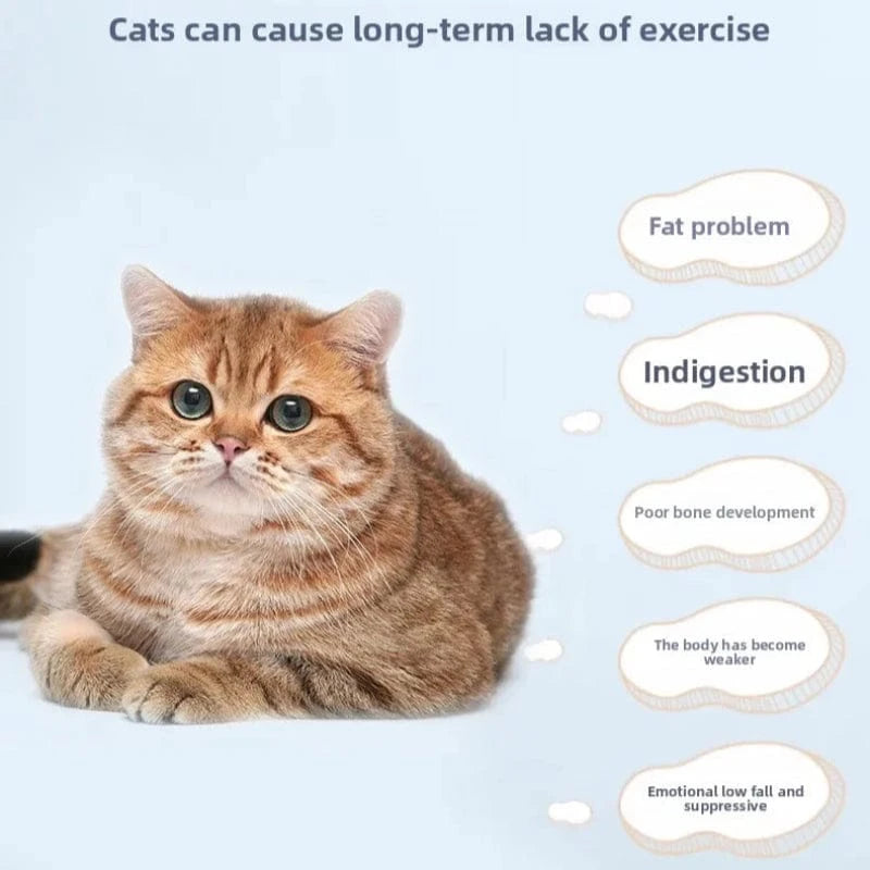 TechnuPet Cat Toys Cat Treadmill