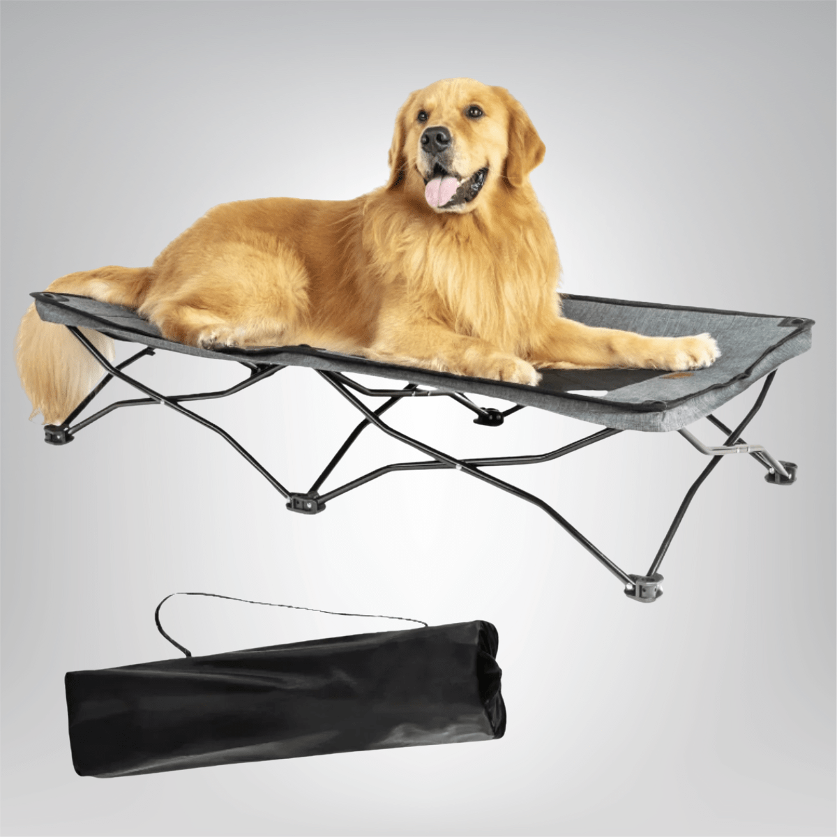 TechnuPet Foldable Outdoor Dog Bed