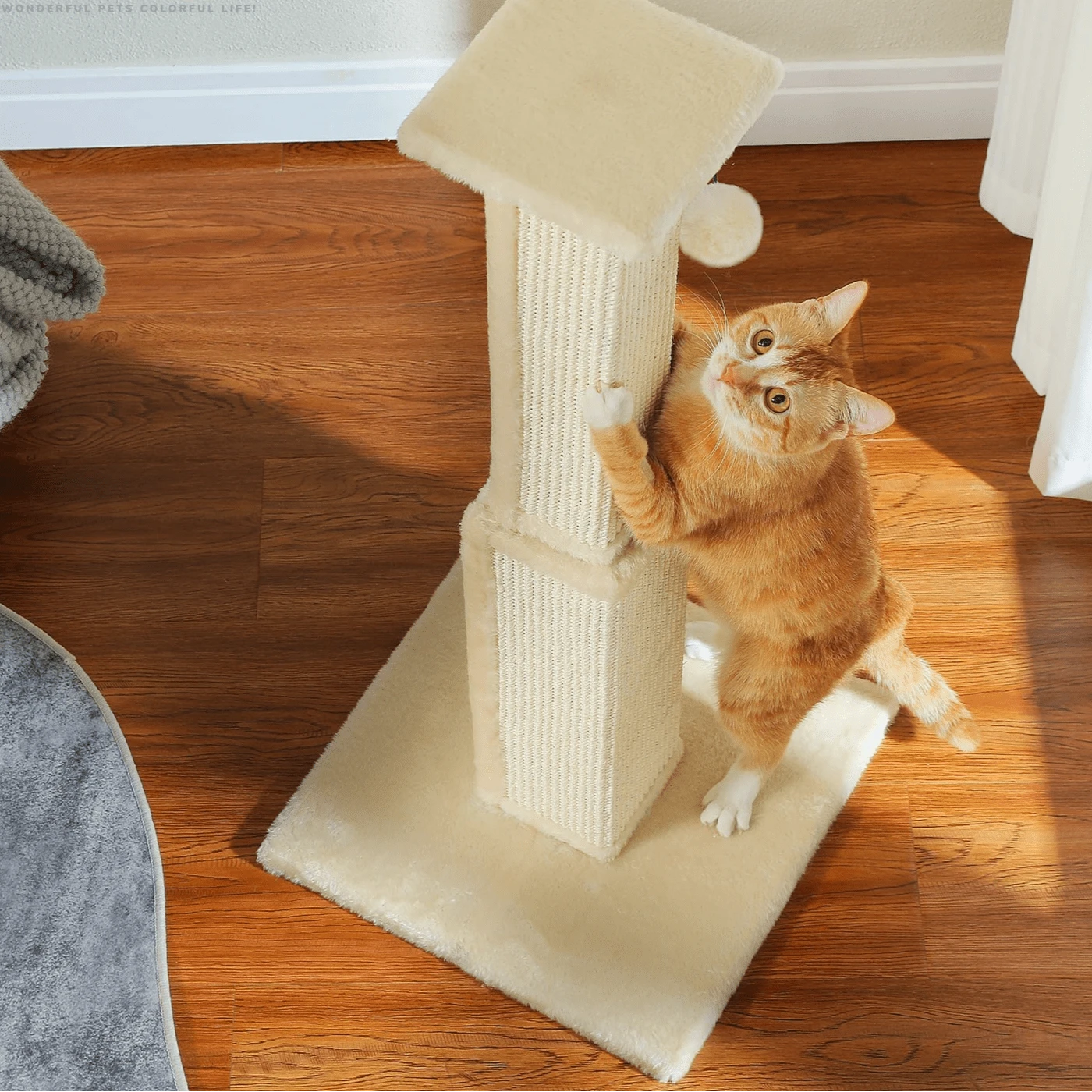 TechnuPet Cat Scratching Post Large Cat Scratching Post