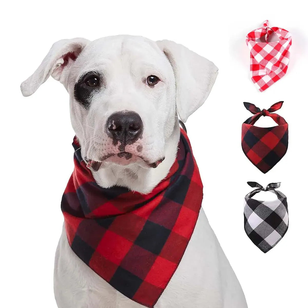 TechnuPet Pet Bandanas Red & Black Plaid Dog Bandana